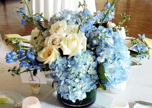 Tô điểm ngọt ngào cho tiệc cưới ngoài trời với sắc xanh trắng của hoa cẩm tú cầu