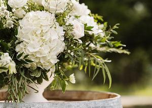 Tô điểm ngọt ngào cho tiệc cưới ngoài trời với sắc xanh trắng của hoa cẩm tú cầu
